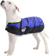 Derby Originals Two-Tone Horse-Tough 600D Waterproof Ripstop Nylon Winter Dog Coat 150g Polyfil with One Year Warranty