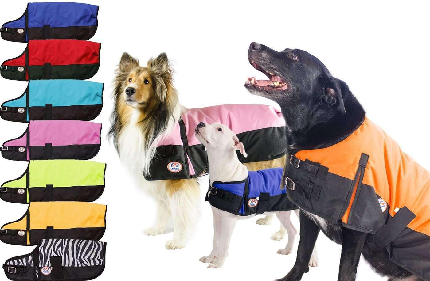 Tough 1 600D Dog Blanket Turquoise XL