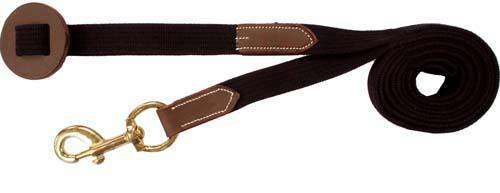 Matching Leather and Web Lead with Brass Snap and Stopper - Tack Wholesale