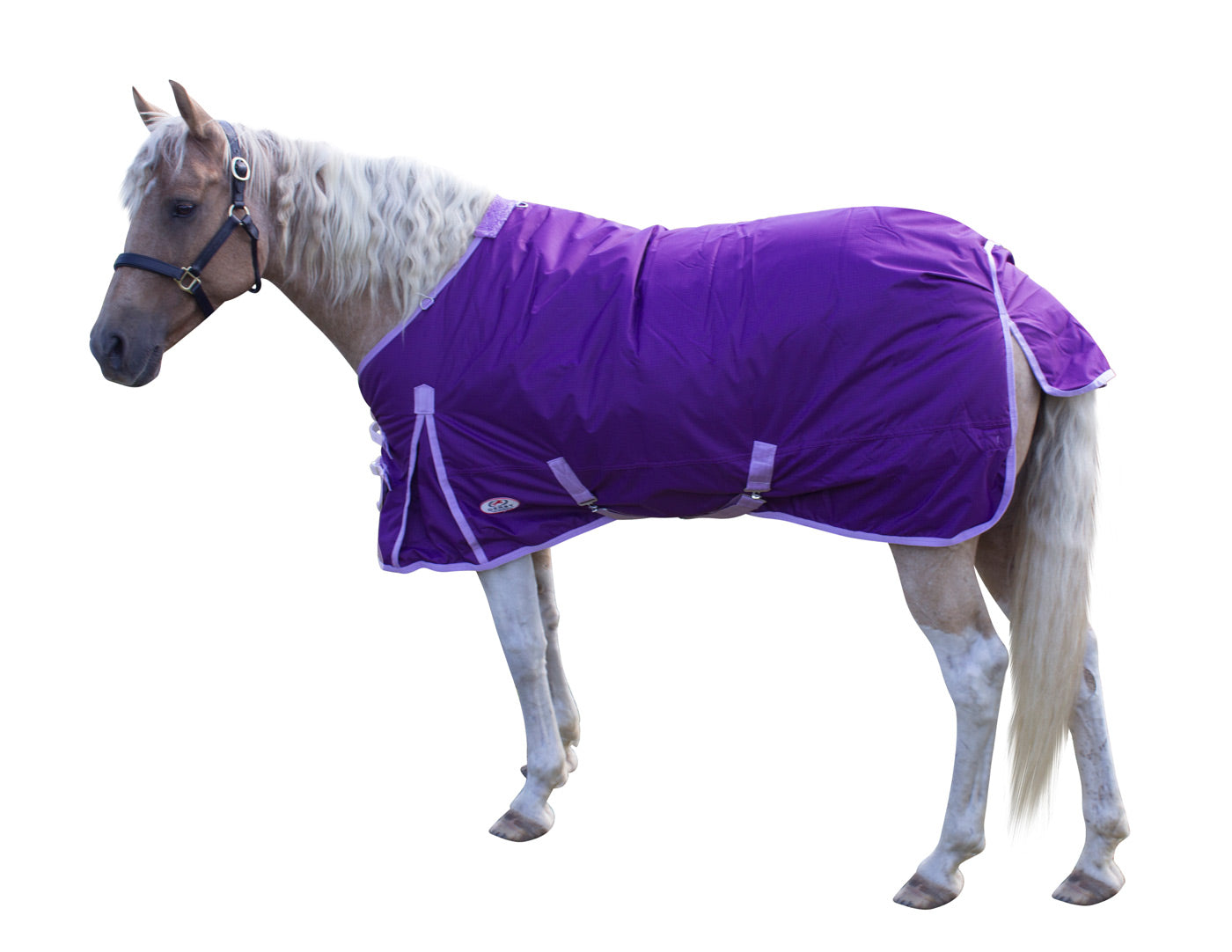 Derby Originals Classic 600D Medium Weight Waterproof Winter Horse Turnout Blanket Purple Main