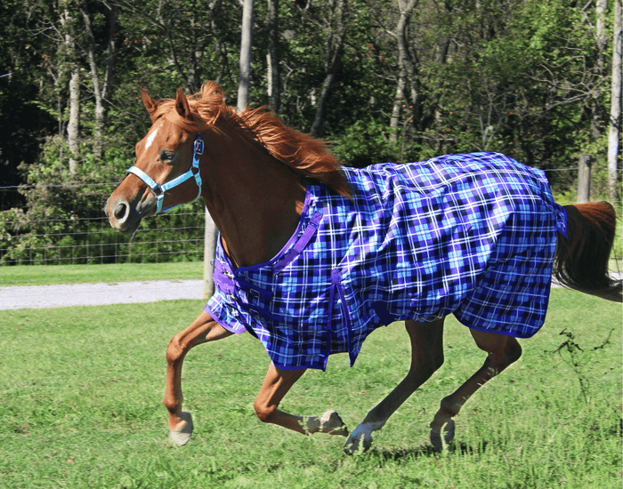 Arctic Plaid 1200D Waterproof Nylon Horse Winter Turnout Blanket Two
